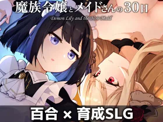 视觉数据3
